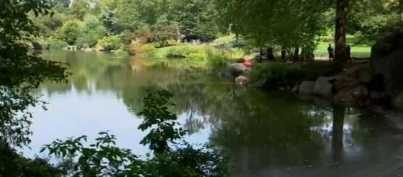 Δύτες ανέσυραν πτώμα από τη λίμνη στο Σέντραλ Παρκ (βίντεο)